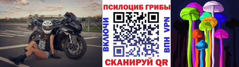Галлюциногенные грибы Psilocybine cubensis  Купить закладки  Сосногорск 